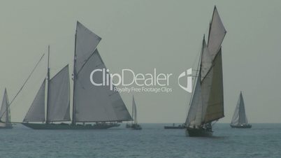 old sail regatta 10