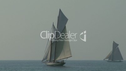 old sail regatta 11