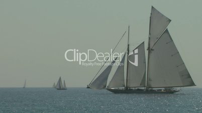 old sail regatta 12