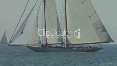 old sail regatta 13