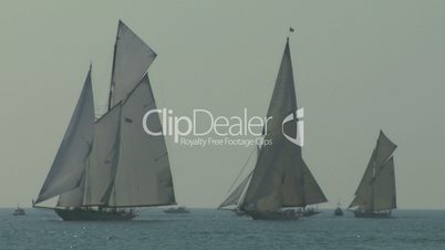 old sail regatta 14