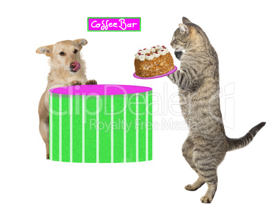Kitty serving a dog a cream cake
