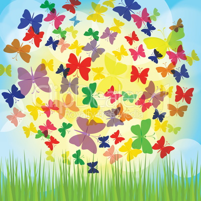 Colorful background with butterfly, beautiful decorative background