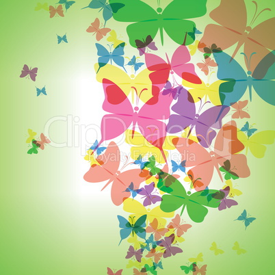 Colorful background with butterfly, beautiful decorative background.