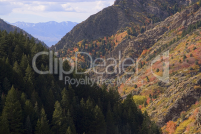 Autumn Colors Wasatch Mts USA