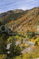 Autumn Colors Wasatch Mts USA