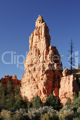 light colored formation Red Canyon
