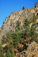 Steep rocky cliffs and pine trees