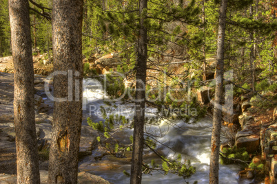 River in the Wilderness