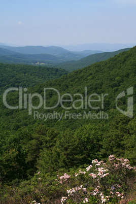 Blue Ridge Mountains of Virginia