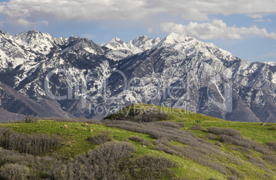 Wasatch Mountains in Northern Utah