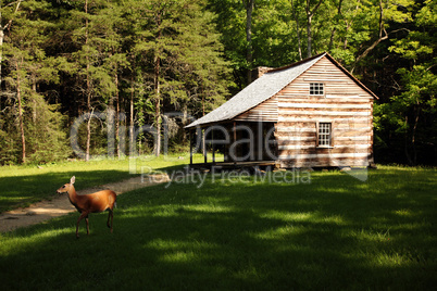 Log cabin with deer in clearing