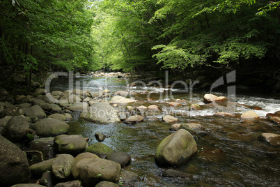 Little Pigeon River Smoky Mountains