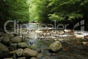 Little Pigeon River Smoky Mountains