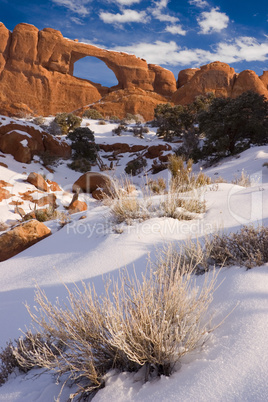 Arches National Park