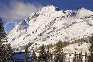 Alta Ski Resort Wasatch Mts Utah