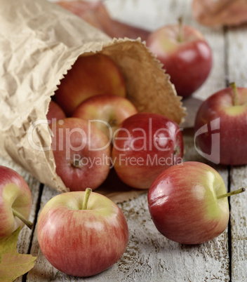 Apples In A Paper Bag