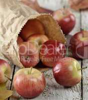 Apples In A Paper Bag