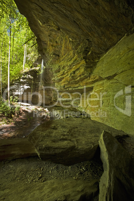 Moore Cove Falls, Pisgah NF