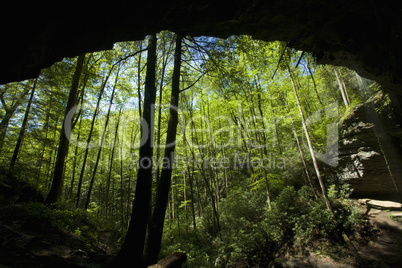 Moore Cove Falls, Pisgah NF