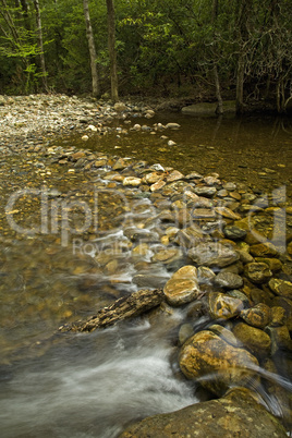 Rock Dam in Stream, Pisgah NF