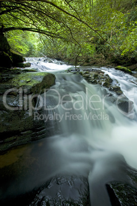 Connestee Creek, Pisgah NF