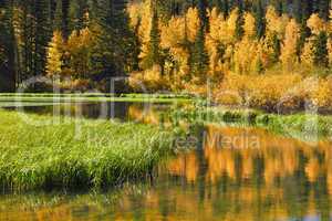 Wasatch Mountains in Autumn