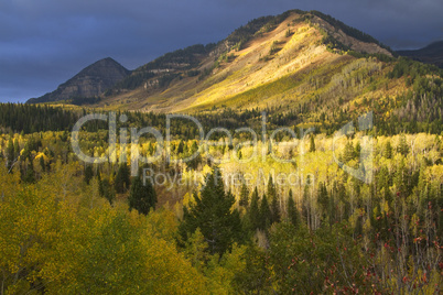 Wasatch Mountains in Autumn