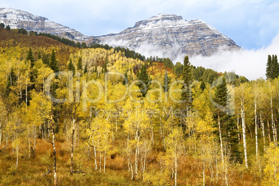 Mount Timpanogos in Autumn