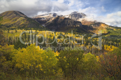 Mount Timpanogos in Autumn