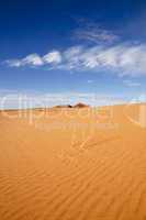 Sand Dunes in San Rafael Desert