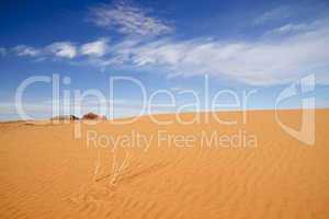 Sand Dunes in San Rafael Desert