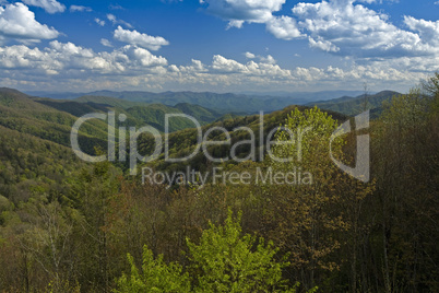 Spring, Newfound Gap Rd, Smokies