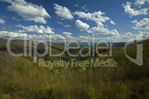 Spring, Newfound Gap Rd, Smokies