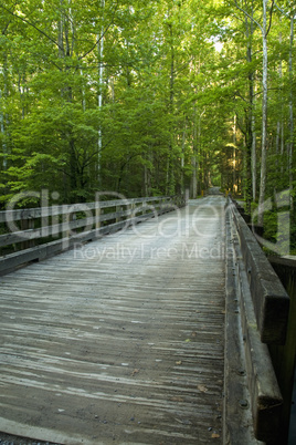 Bridge, Little Pigeon River