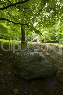 Bud Ogle Cabin, Great Smoky Mtns