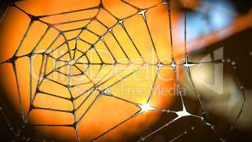 artistic end abstract spider web of metal