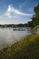 Boat Dock, Douglas Lake