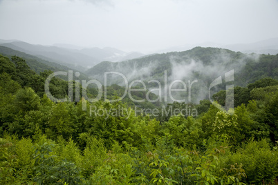 Great Smoky Mtns Nat. Park