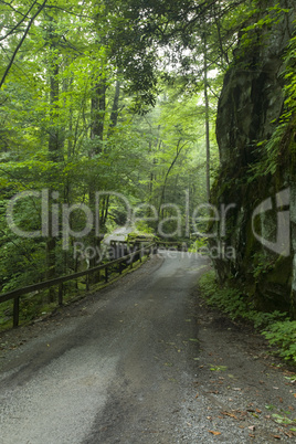 Motor Nature Trail, Smokies