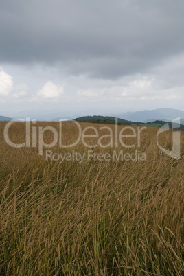 Max Patch, Appalachian Trail