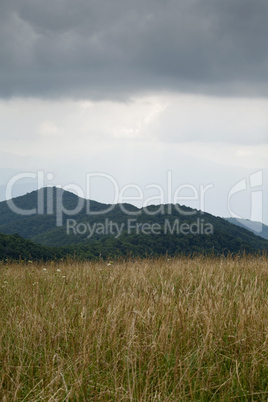 Max Patch, Appalachian Trail