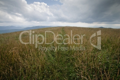 Max Patch, Appalachian Trail