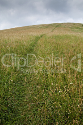 Max Patch, Appalachian Trail