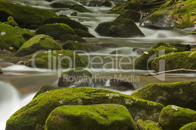 Cosby Creek, Great Smoky Mtns NP