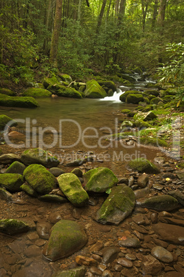 Cosby Creek, Great Smoky Mtns NP