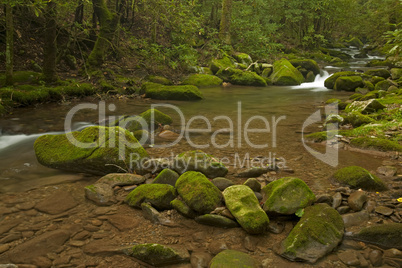 Cosby Creek, Great Smoky Mtns NP