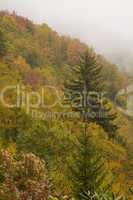 Autumn, Blue Ridge Parkway, NC