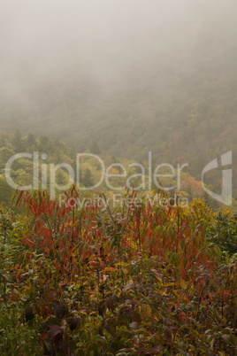 Autumn, Blue Ridge Parkway, NC