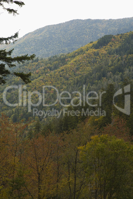 Autumn, Blue Ridge Parkway, NC